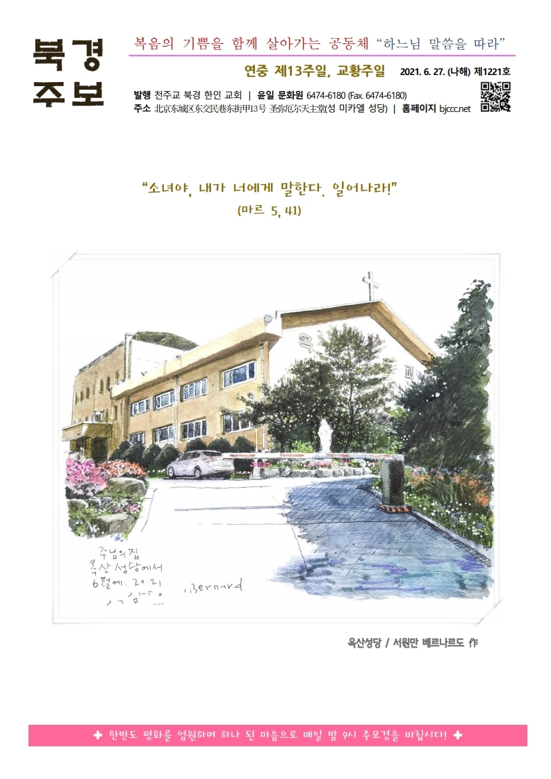 20210627 연중 제13주일, 교황주일.pdf_page_1.jpg