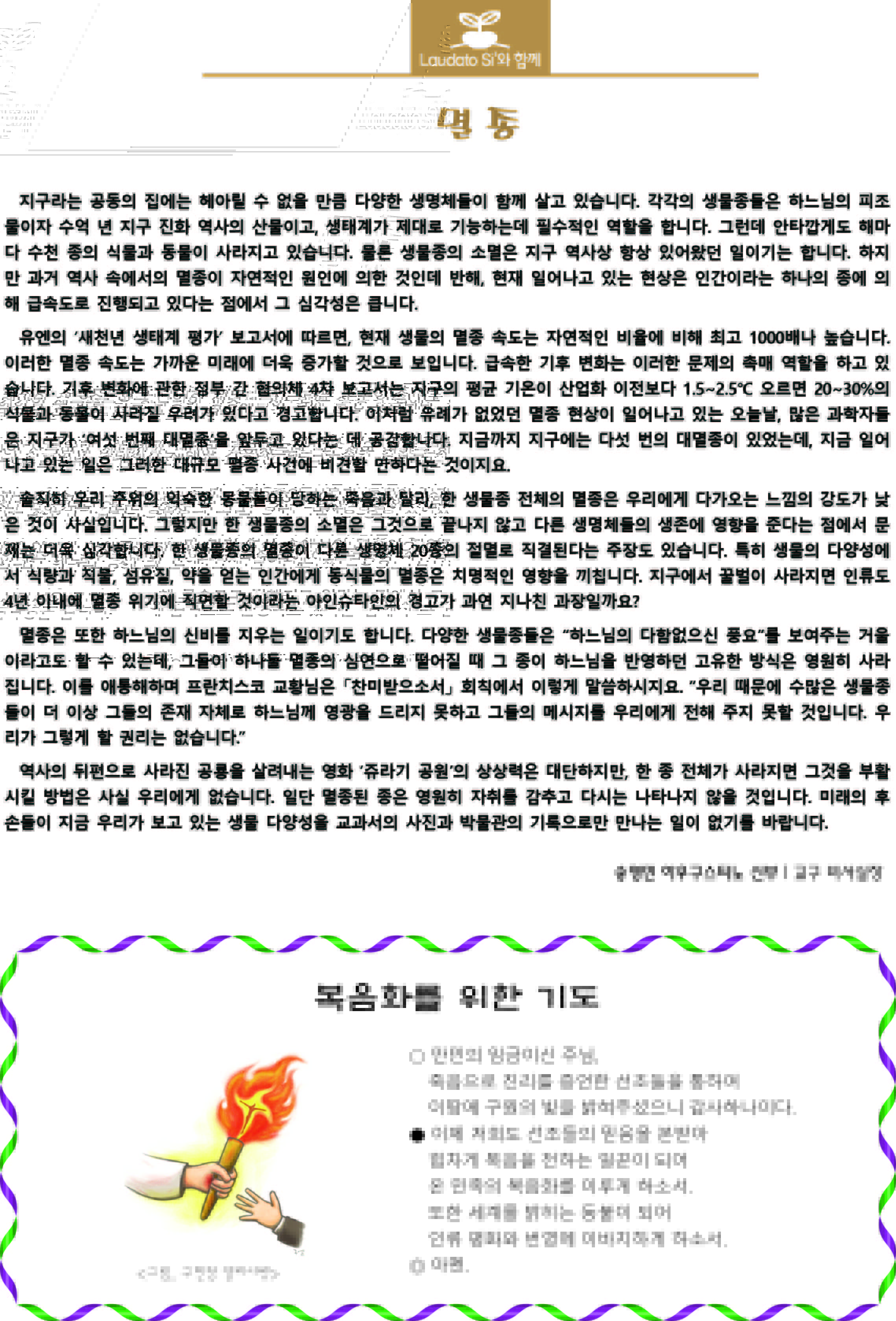 3면.jpg