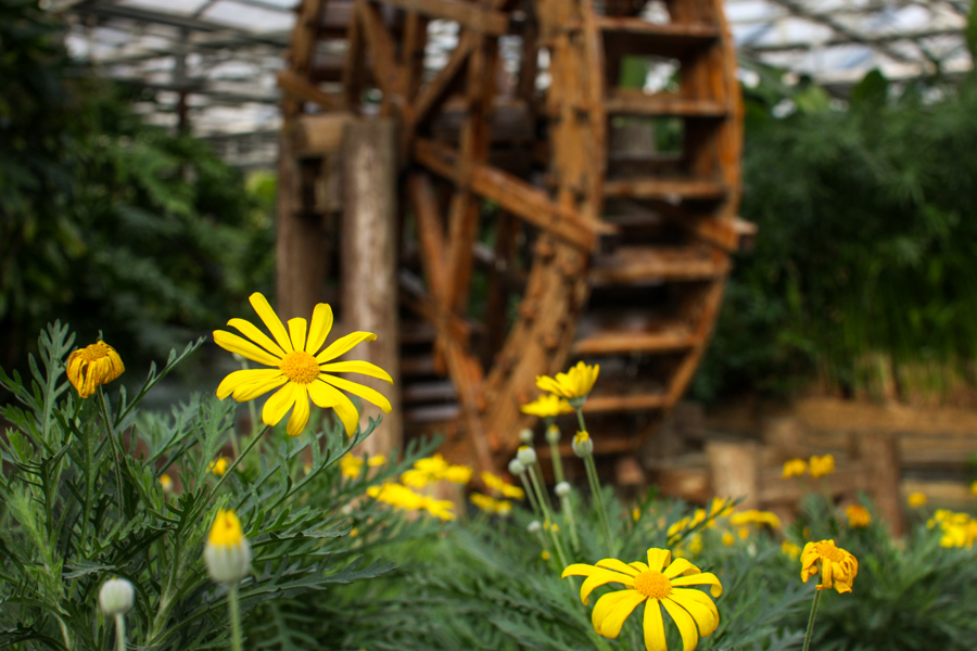 Garden-6169.jpg