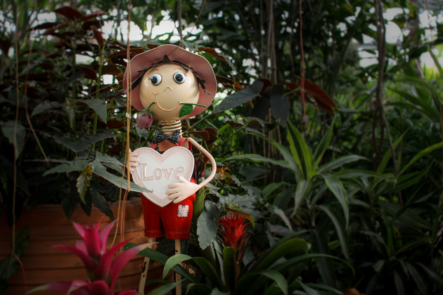 Garden-6181.jpg