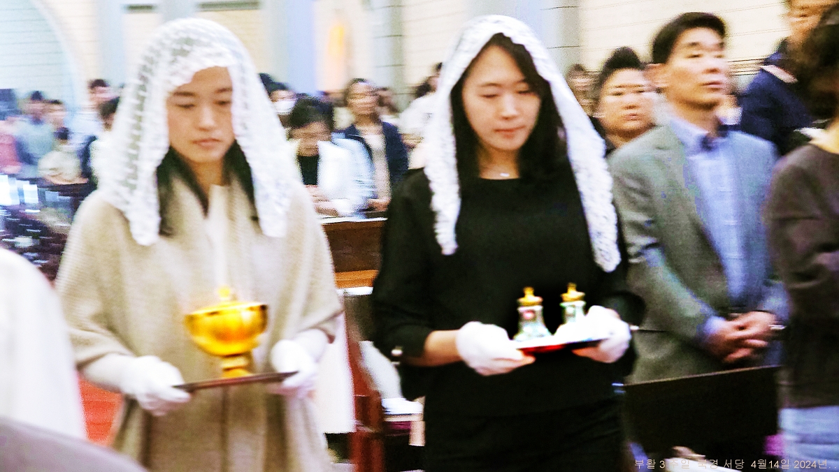 S20240421_115214.jpg