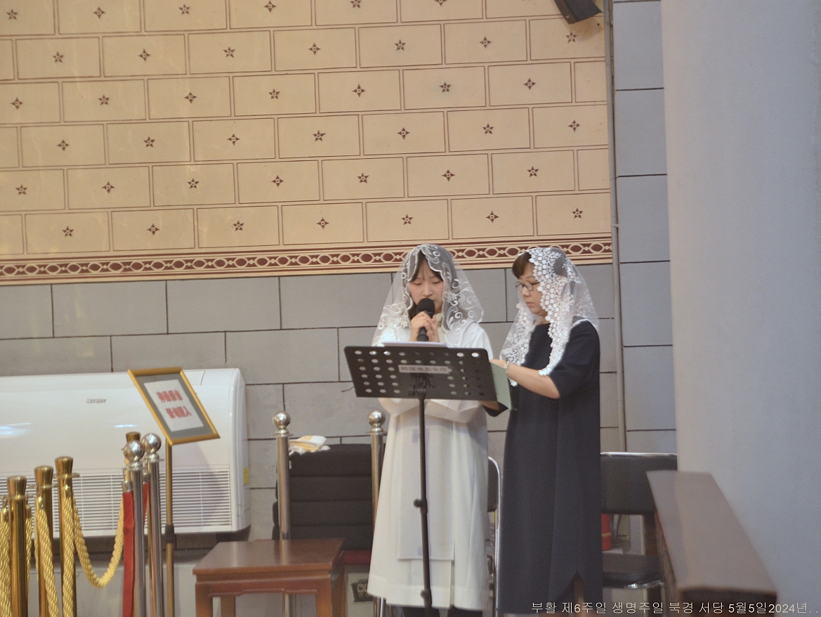 S_ABL0959.JPG