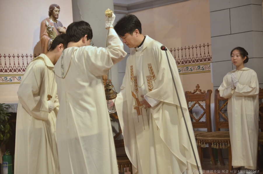 S_ABL0964.JPG