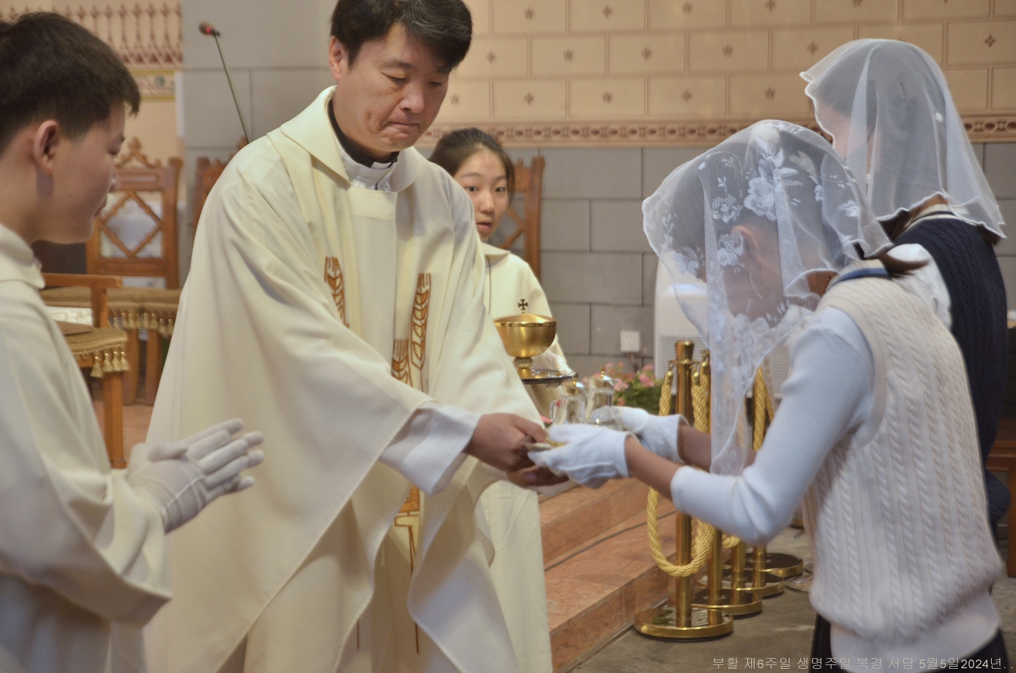S_ABL0982.JPG