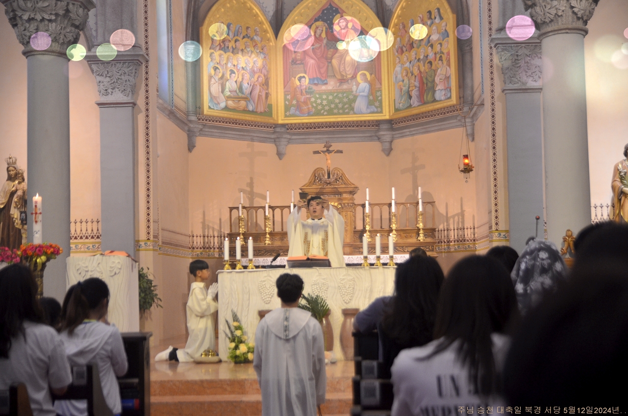 S_ABL1101.JPG