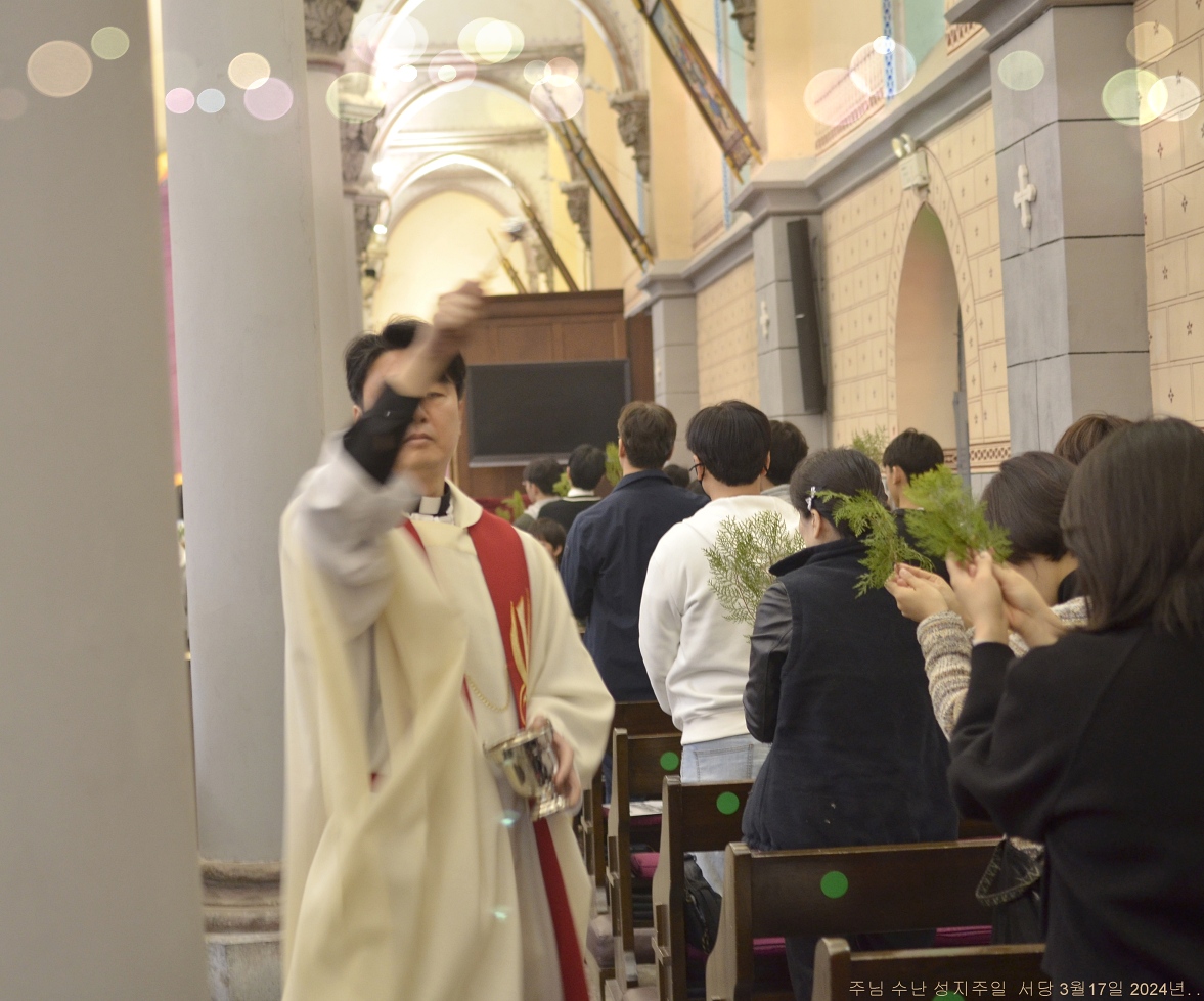 S_ABL0773.JPG