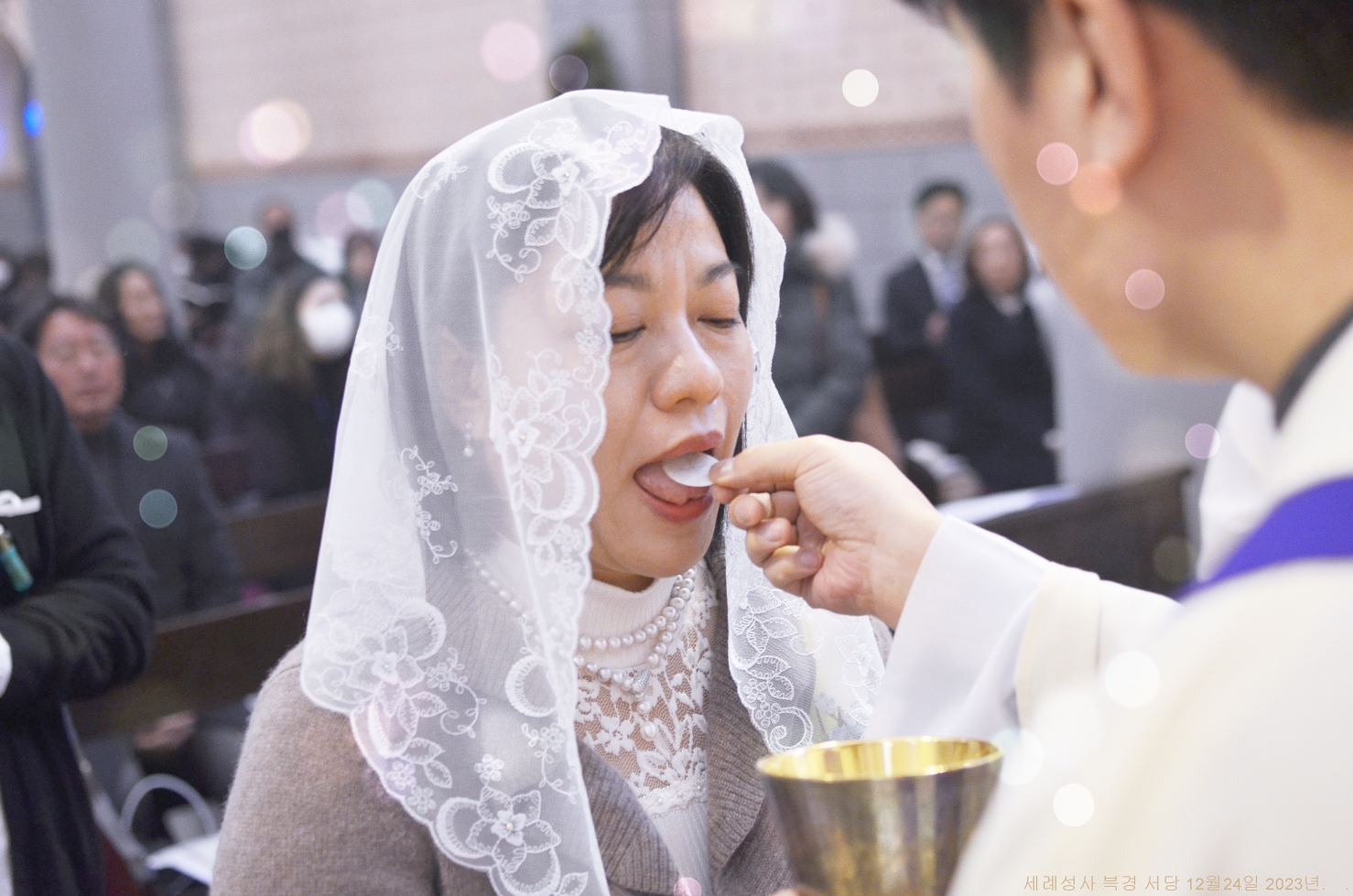 S_ABL0279.JPG