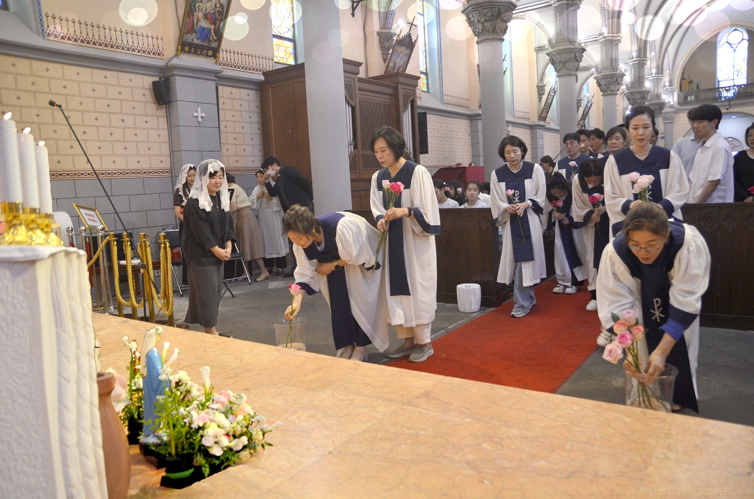 S_ABL1265.jpg