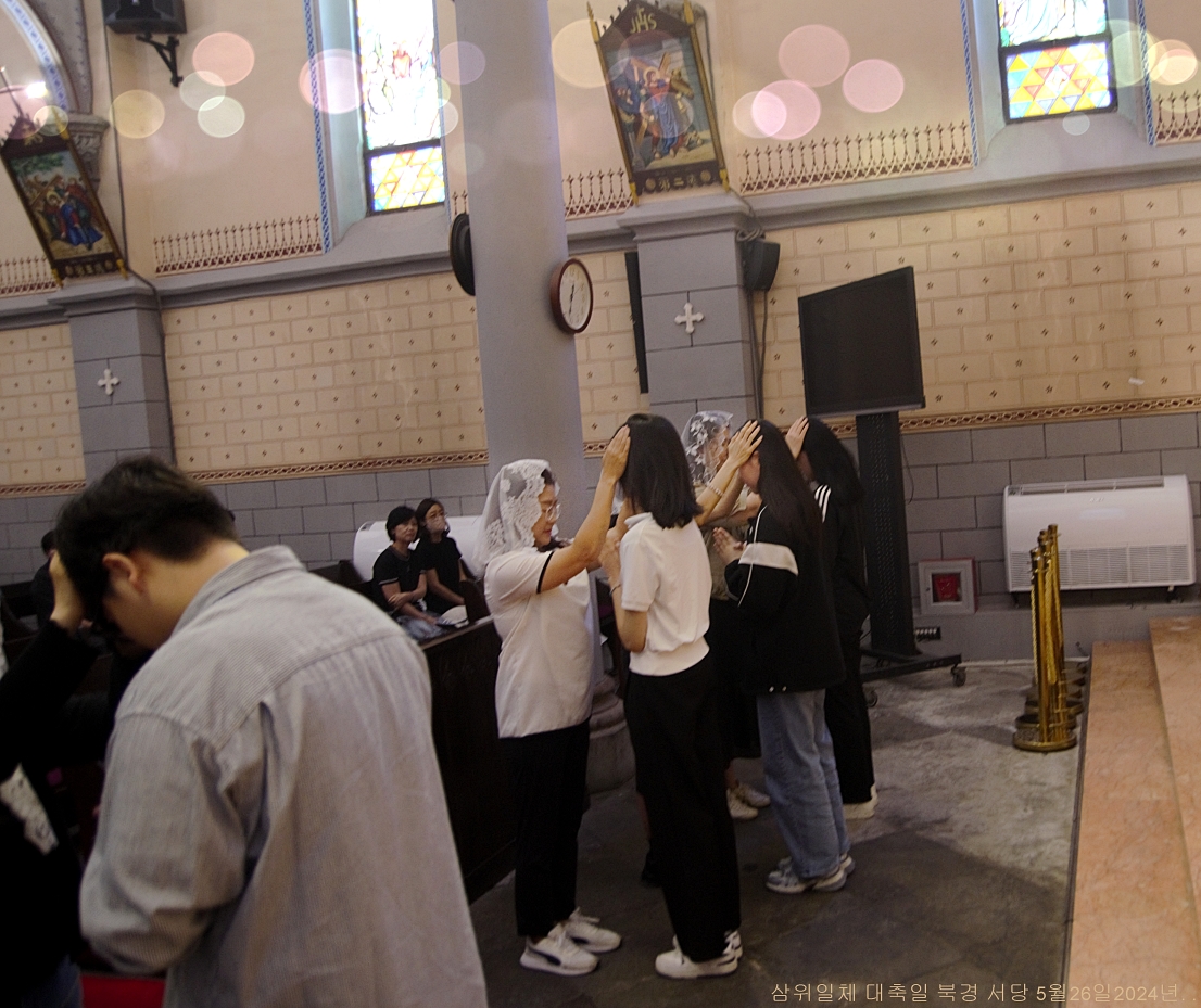 S_ABL1371.jpg