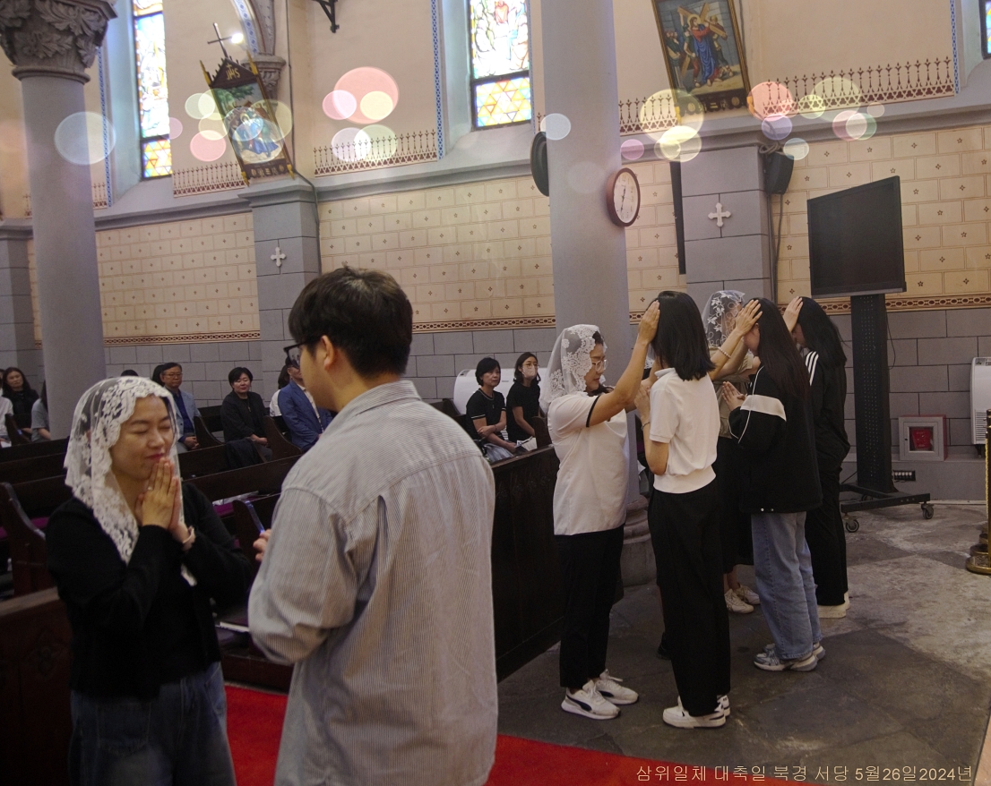 S_ABL1374.jpg