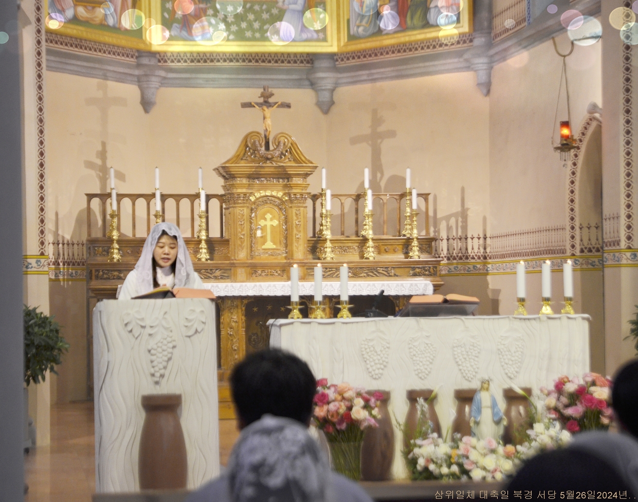 S_ABL1311.JPG