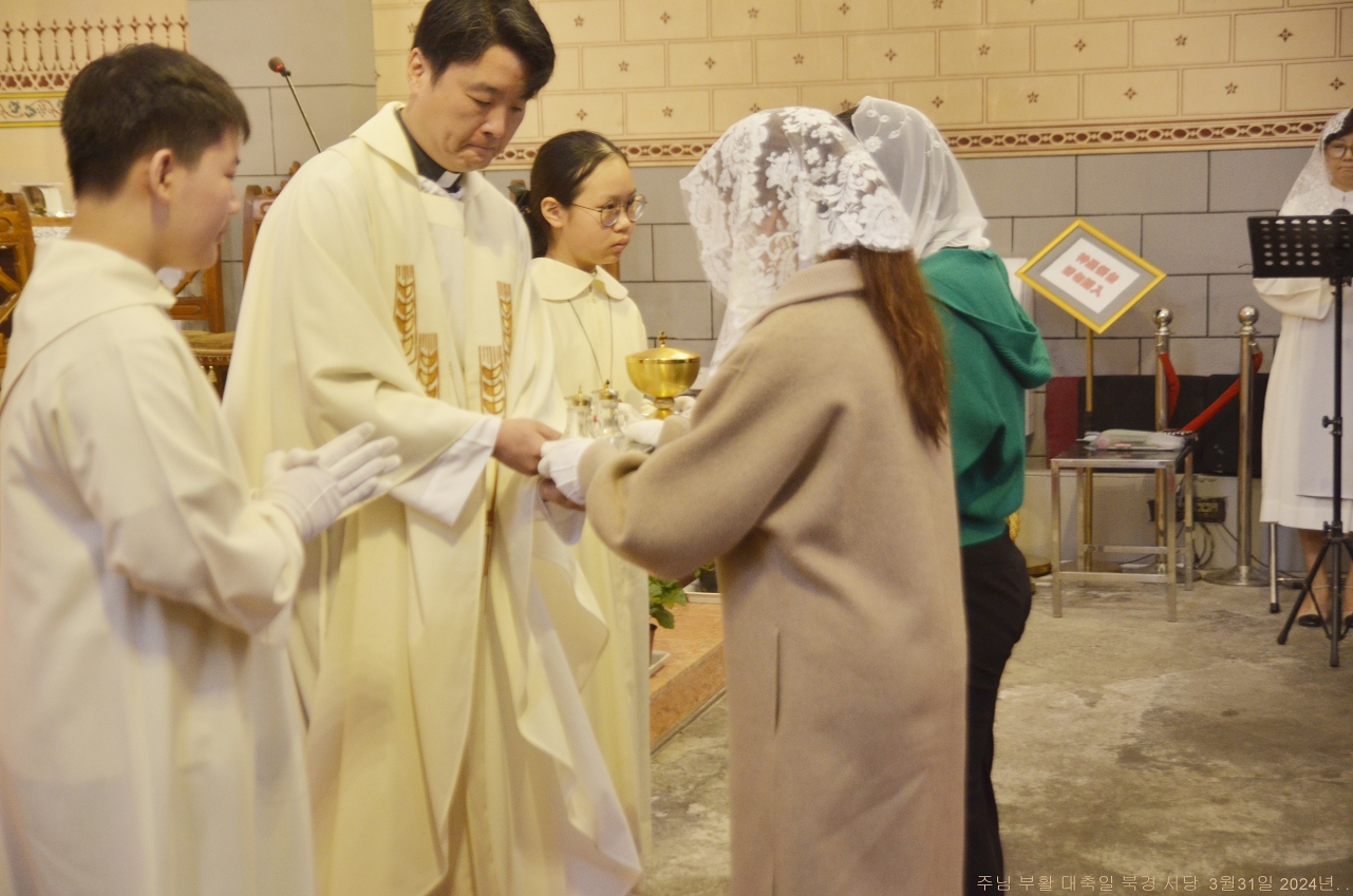 S_ABL0886.JPG
