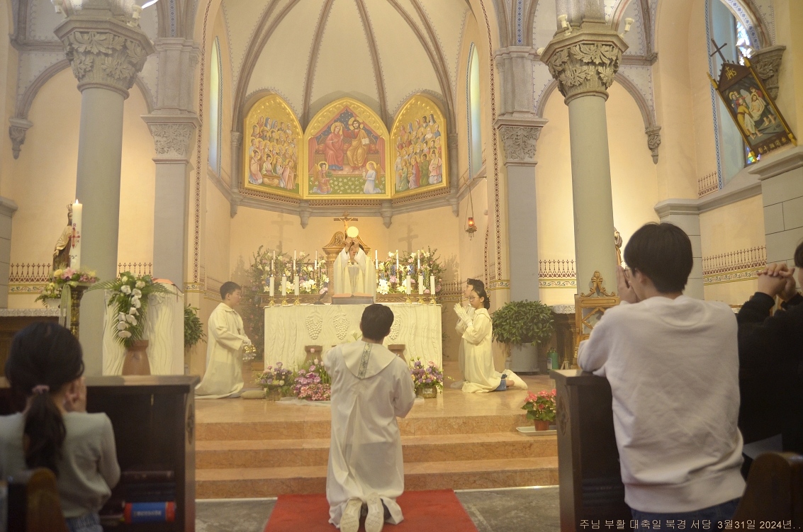 S_ABL0892.JPG
