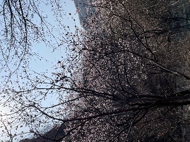 Weixin Image_20260415173233.jpg