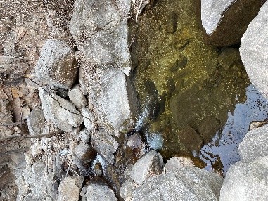 Weixin Image_20260415173326.jpg