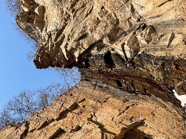 Weixin Image_20260415173339.jpg